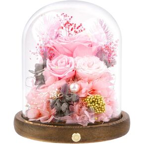 Preserved Flowers with Card&Box-Flowers for Delivery Prime,Eternal Rose with Lights,Roses in Glass Dome,Romantic Gift for Her,Mother’s Day,Birthday, Valentine's Day (Pink)