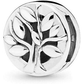 MiniJewelry Reflexions Clip Charm for Bacelets Women Sterling Silver Charms for Bracelets Girls Sister Mom Birthday Gift, Sterling Silver, No Gemstone
