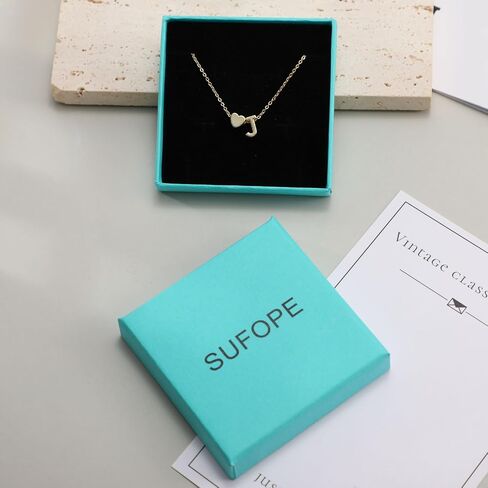 Cross Necklace for Women Silver/Gold Plated Cross Necklace Dainty Small Cross Pendant Necklace Minimalist Cross Chain Choker Jewelry in Kuwait