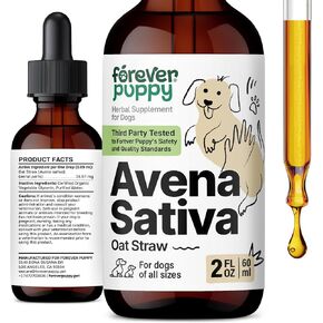 Avena Sativa Drops for Dogs - Calming Support for Dogs w/Oat Straw Herb - Herbal Alternative to Calming Chews for Dogs - Liquid Dog Vitamins for Brain Relaxation, Calm Mood & Composure - 4 oz