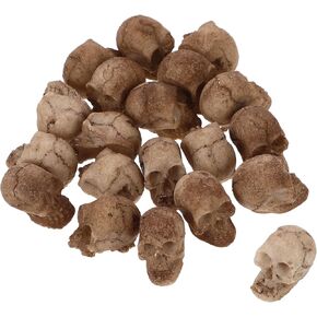 Cabilock Halloween Skull Head Statue Decor: 20PCS Small Lifelike Skull Head Adornment Exquisite Mini Skull Head Human Skeleton for Halloween Props Craft Decoration