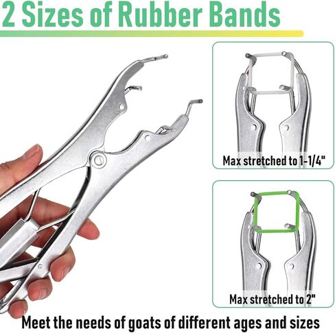 مجموعة ربط الماعز، كماشة من الفولاذ المقاوم للصدأ مع 150 قطعة من الحلقات بمقاسين، أداة تثبيت حلقية لمزرعة الماشية in Kuwait