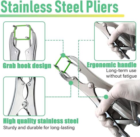 مجموعة ربط الماعز، كماشة من الفولاذ المقاوم للصدأ مع 150 قطعة من الحلقات بمقاسين، أداة تثبيت حلقية لمزرعة الماشية in Kuwait