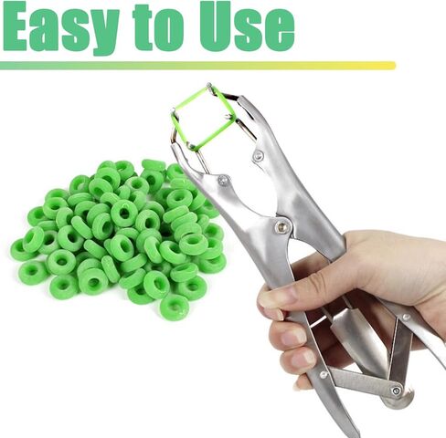 مجموعة ربط الماعز، كماشة من الفولاذ المقاوم للصدأ مع 150 قطعة من الحلقات بمقاسين، أداة تثبيت حلقية لمزرعة الماشية in Kuwait