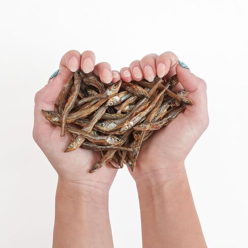 علاجات الحيوانات الأليفة من Walleye Bark للكلاب والقطط - وجبة خفيفة من الأسماك المجففة مكونة من مكون واحد، من مصادر مستدامة، خالية من الحبوب، عالية البروتين، بدون إضافات، أوميغا 3 الطبيعية، تدعم صحة الجلد والفرو، كيس 4 أونصة in Kuwait