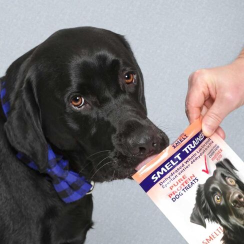 علاجات الحيوانات الأليفة من Walleye Bark للكلاب والقطط - وجبة خفيفة من الأسماك المجففة مكونة من مكون واحد، من مصادر مستدامة، خالية من الحبوب، عالية البروتين، بدون إضافات، أوميغا 3 الطبيعية، تدعم صحة الجلد والفرو، كيس 4 أونصة in Kuwait