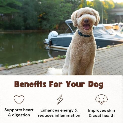 علاجات الحيوانات الأليفة من Walleye Bark للكلاب والقطط - وجبة خفيفة من الأسماك المجففة مكونة من مكون واحد، من مصادر مستدامة، خالية من الحبوب، عالية البروتين، بدون إضافات، أوميغا 3 الطبيعية، تدعم صحة الجلد والفرو، كيس 4 أونصة in Kuwait