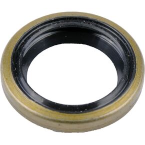 SKF 6119 Seal