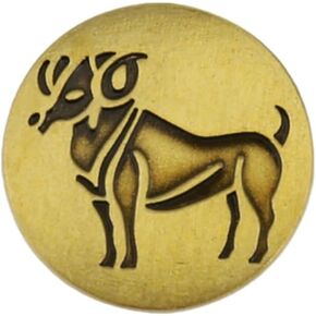 vmcoatdu Round 1 Inch 12 Constellations Capricornus Pin Brooch Metal Revivalism Style Souvenir Badge for Hat Clothes Backpack (Capricorn （Dec 22-Jan 19）)