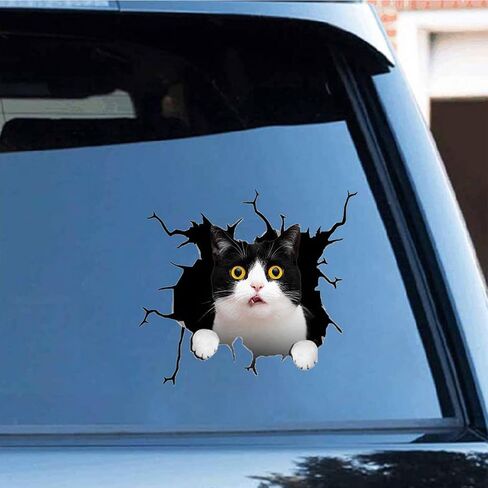 ملصق تكسير سيارة Tuxedo Cat، ملصقات سيارات فينيل ثلاثية الأبعاد مضادة للماء للقطط، للجدار المحمول ونافذة السيارة والشاحنة والثلاجة 11.8 × 11.8 بوصة in Saudi Arabia