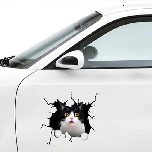 ملصق تكسير سيارة Tuxedo Cat، ملصقات سيارات فينيل ثلاثية الأبعاد مضادة للماء للقطط، للجدار المحمول ونافذة السيارة والشاحنة والثلاجة 11.8 × 11.8 بوصة in Saudi Arabia