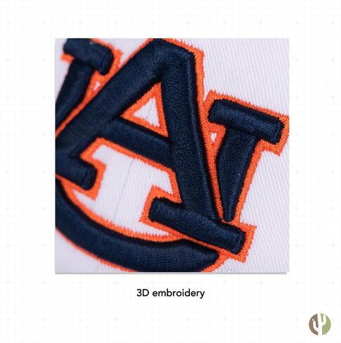 Desert Cactus Auburn University Baseball Hat Tigers War Eagle Brimmed Embroirderd Hats Cap Adjustable Cloth Strap Adult (Style B1) in Saudi Arabia