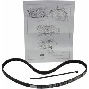 Motorcraft Drive Belt