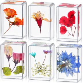 6 Pieces Pressed Flower Paperweight Flower in Resin Specimen Collection for Desk Real Flowers Samples Paper Weights Square Paperweight Cube for Kids Scientific Educational Toy, Office Table Decor