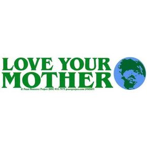 ملصق لاصق صغير مطبوع عليه Love Your Mother Earth لتغير المناخ الداخلي والخارجي للسيارات وأجهزة الكمبيوتر المحمولة والدراجات والخوذات وألواح التزلج والخزائن مقاس 5.75 × 1.75 بوصة