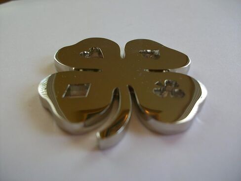 Four Leaf Clover Poker Weight (Silver) in Saudi Arabia