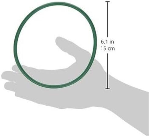 Motorcraft CG-807 Fuel Tank Lock Ring in Saudi Arabia