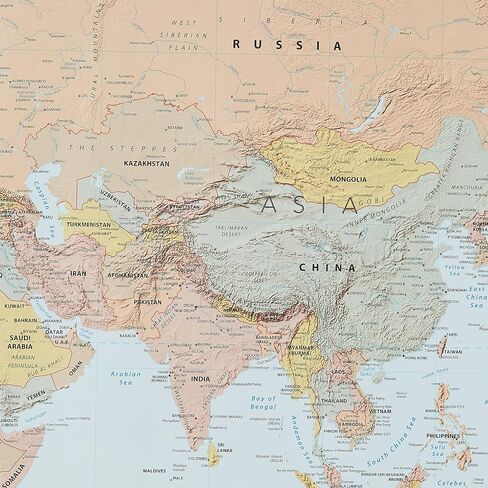 World Map Poster (32 x 50 inches) - Laminated: - a QuickStudy Reference in Saudi Arabia