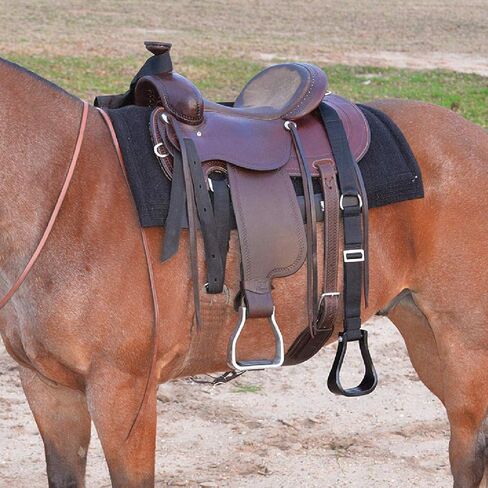 Cashel Step-Up Mounting Stirrup in Saudi Arabia