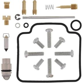 All Balls Racing 26-1009 Carburetor Kit, Complete Compatible with/Replacement For Polaris Sportsman 600 4x4 2003-2004, Sportsman 700 4x4 2003-2007, Sportsman 700 4x4 Built After 10/02/03 2004