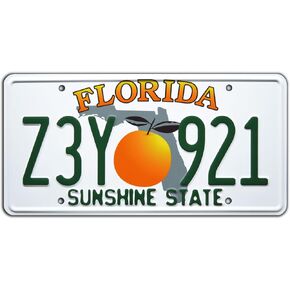 2 Fast 2 Furious | Z3Y 921 | Metal Stamped License Plate