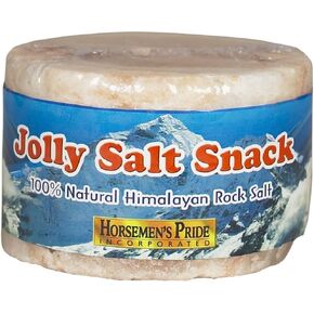 Jolly Pets Stall Snack Refill Salt