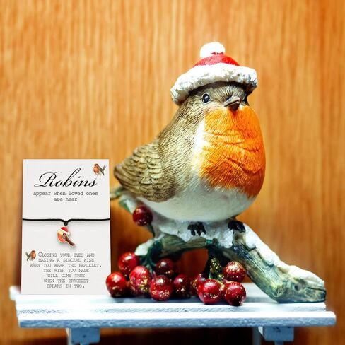 12 مجموعة من هدايا روبن للنساء من Tigeen، سوار رغبة روبن مع سحر روبن يظهر روبن عندما يكون أحبائهم بالقرب من سوار تذكاري، سوار تعاطف، هدية تذكارية لفقدان أحد أفراد أسرته in Kuwait