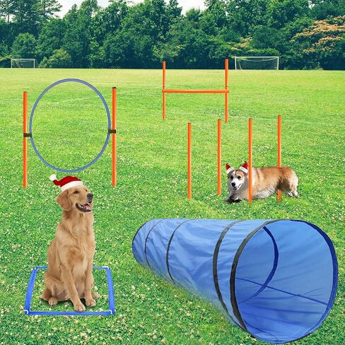 Dog Agility Tunnel with Breathable mesh, Dog Agility Equipment, Dog Agility Training with Carry Bag (Tunnel) in Saudi Arabia
