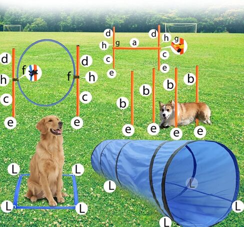 Dog Agility Tunnel with Breathable mesh, Dog Agility Equipment, Dog Agility Training with Carry Bag (Tunnel) in Saudi Arabia