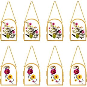 Qunclay 8 Pcs Glass Frame for Pressed Flowers 3.5 x 2.5 Inch Brass Hanging Photo Frame with Chain Arched Double Floating Picture Frames for Artwork Display DIY Dried Plant Specimen