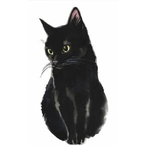 Black cat Staring Sticker for car Bumper, Waterbottle 5 inches