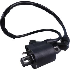 DVPARTS Ignition Coil Compatible with YFM250B Grizzly 80 Yamaha Warrior 350 YFM350X Raptor 660R YFM660R Bruin 250 Suzuki Quadrunner Quadmaster 500 LTF500F LTA500F ATV
