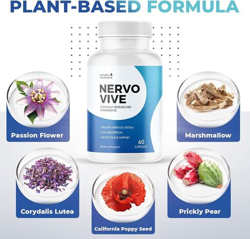 Nervovive Nerve Support Supplement - Advanced Formula Nerve Health Supplements, All Natural Potent Supplement, Maximum Strength for Overall Health and Wellness - 60 Capsules, 1 Month Supply in Kuwait