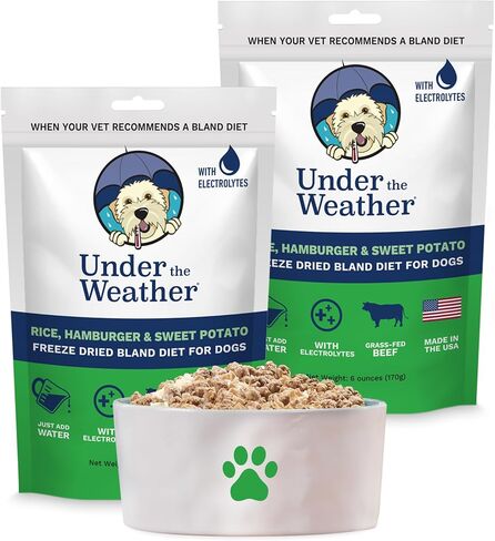 Under the Weather Bland Diet for Dogs | Easy to Digest Stomach Support for Sick Dogs | Contains Electrolytes, Gluten-Free, All Natural | 1 Pack - Turkey, Oatmeal, Sweet Potato & Slippery Elm - 6oz in Kuwait
