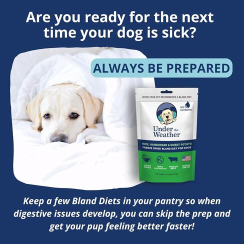 Under the Weather Bland Diet for Dogs | Easy to Digest Stomach Support for Sick Dogs | Contains Electrolytes, Gluten-Free, All Natural | 1 Pack - Turkey, Oatmeal, Sweet Potato & Slippery Elm - 6oz in Kuwait