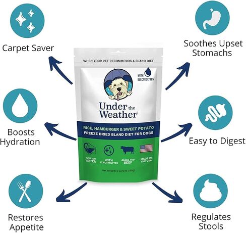 Under the Weather Bland Diet for Dogs | Easy to Digest Stomach Support for Sick Dogs | Contains Electrolytes, Gluten-Free, All Natural | 1 Pack - Turkey, Oatmeal, Sweet Potato & Slippery Elm - 6oz in Kuwait