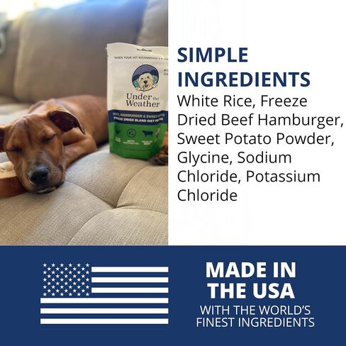 Under the Weather Bland Diet for Dogs | Easy to Digest Stomach Support for Sick Dogs | Contains Electrolytes, Gluten-Free, All Natural | 1 Pack - Turkey, Oatmeal, Sweet Potato & Slippery Elm - 6oz in Kuwait