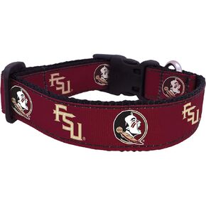 NCAA Florida State Seminoles Dog Collar (Team Color, Small)