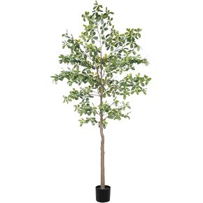 Black Olive Tree 7ft - Faux Black Olive Tree with Natural Trunk and Realistic Leaves - Olive Trees Artificial Indoor for Modern Home Office House Living Room Decor in Saudi Arabia