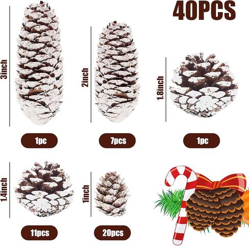 JOHOUSE 40 قطعة من أكواز الصنوبر الثلجية للتزيين، مخاريط الصنوبر الطبيعية للحرف اليدوية زينة مخروط الصنوبر لشجرة عيد الميلاد وعطلات الشتاء والحلي المعلقة، حشو مزهرية الشتاء in Kuwait