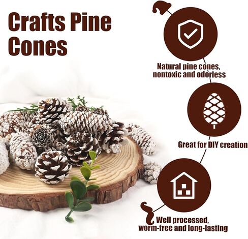 JOHOUSE 40 قطعة من أكواز الصنوبر الثلجية للتزيين، مخاريط الصنوبر الطبيعية للحرف اليدوية زينة مخروط الصنوبر لشجرة عيد الميلاد وعطلات الشتاء والحلي المعلقة، حشو مزهرية الشتاء in Kuwait