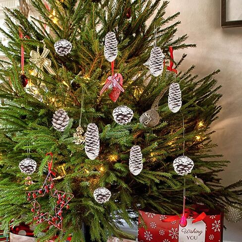 JOHOUSE 40 قطعة من أكواز الصنوبر الثلجية للتزيين، مخاريط الصنوبر الطبيعية للحرف اليدوية زينة مخروط الصنوبر لشجرة عيد الميلاد وعطلات الشتاء والحلي المعلقة، حشو مزهرية الشتاء in Kuwait