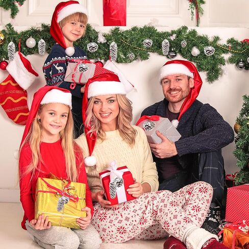 JOHOUSE 40 قطعة من أكواز الصنوبر الثلجية للتزيين، مخاريط الصنوبر الطبيعية للحرف اليدوية زينة مخروط الصنوبر لشجرة عيد الميلاد وعطلات الشتاء والحلي المعلقة، حشو مزهرية الشتاء in Kuwait