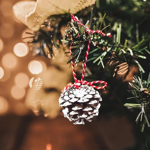 JOHOUSE 40 قطعة من أكواز الصنوبر الثلجية للتزيين، مخاريط الصنوبر الطبيعية للحرف اليدوية زينة مخروط الصنوبر لشجرة عيد الميلاد وعطلات الشتاء والحلي المعلقة، حشو مزهرية الشتاء in Kuwait