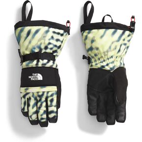 THE NORTH FACE Men's Montana Insulated Ski Glove, Nettle The Lift Print, Medium