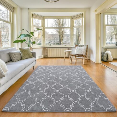 Amearea Fluffy Indoor Area Rug, Soft Trellis Moroccan Rugs for Bedroom, Shag Modern Area Rug for Living Room Kids Room Nursery, Easy Clean, Geometry Home Decor Low Pile Carpet, Light Gray 5x7 Feet in Saudi Arabia
