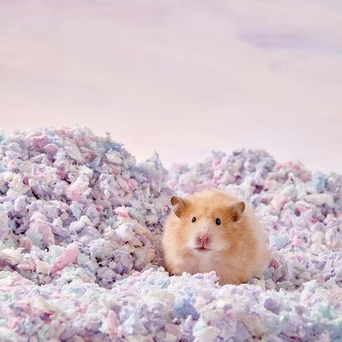 فراش حيوانات صغيرة خالٍ من الغبار، فراش ورقي ناعم طبيعي للتحكم في الرائحة، مناسب لخنازير غينيا والأرانب والجرذان والجربوع والشنشيلا والهامستر، 12 لتر (مزيج وردي فاتح) in Kuwait