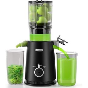 Juicer Machines, ECOSELF Cold Press Juicer with 4.35" Large Feed Chute Fit Whole Fruits and Vegetables, Easy to Clean, Masticating Juicer Self Feeding Effortless for Batch Juicing, High Juice Yield