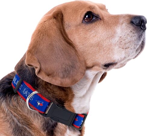 طوق MLB PET للكلاب من أتلانتا بريفز، مقاس متوسط. طوق فريق البيسبول للكلاب والقطط. طوق للكلاب والقطط لامع وملون مرخص من MLB in Kuwait