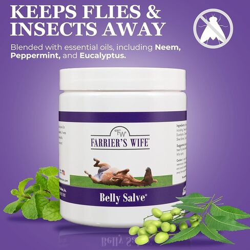 Farrier's Wife Belly Salve 3 Ounces in Saudi Arabia